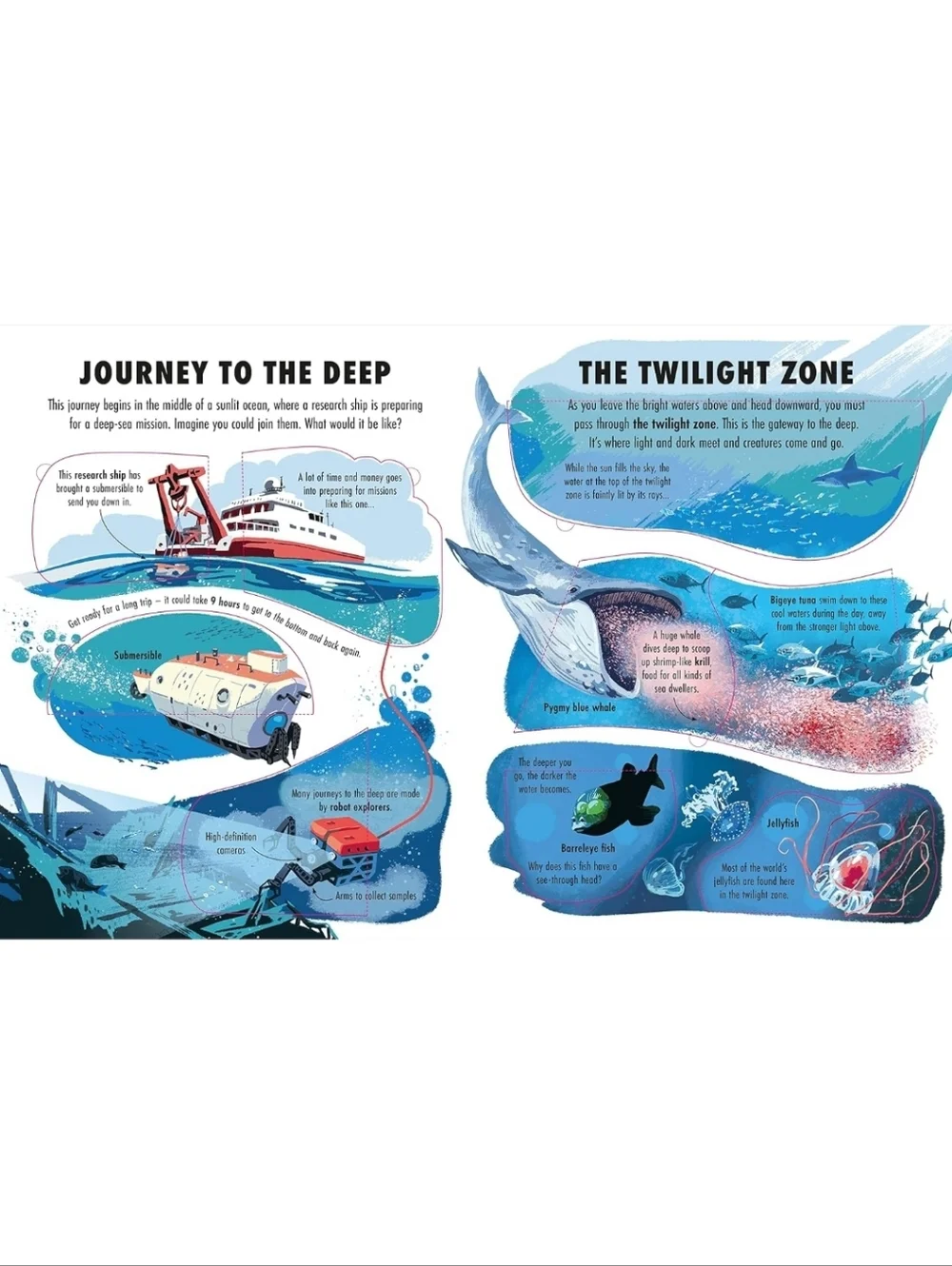 Extreme Planet: The Deep A Lift A Flap Book About Ocean Creatures NEW